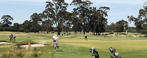 matsumoto-micheluzzi-halfway-leaders-at-2018-port-phillip-amateur.png