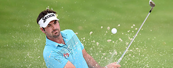 eight-aussies-ready-for-pebble.jpg